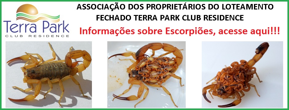 Dedetização nas áreas comuns do Condomínio - Acesse aqui e saiba mais.